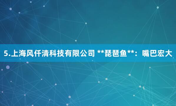 5.上海风仟清科技有限公司 **琵琶鱼**：嘴巴宏大