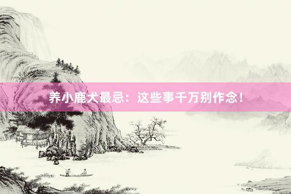 养小鹿犬最忌：这些事千万别作念！