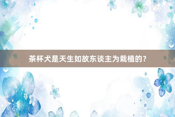 茶杯犬是天生如故东谈主为栽植的？