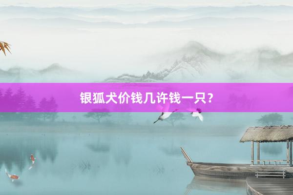 银狐犬价钱几许钱一只？